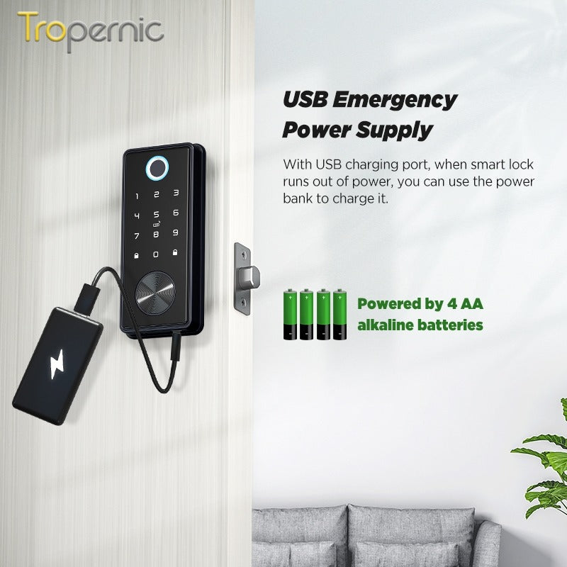 Tuya Smart Door Lock WiFi Remote Unlock Digital Password IC Card Biometric Fingerprint Unlock Fully Automatic Electric Deadbolt