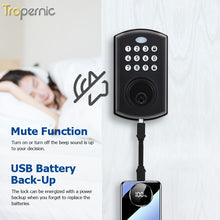 Tropernic A01 Tuya WiFi Smart Lock