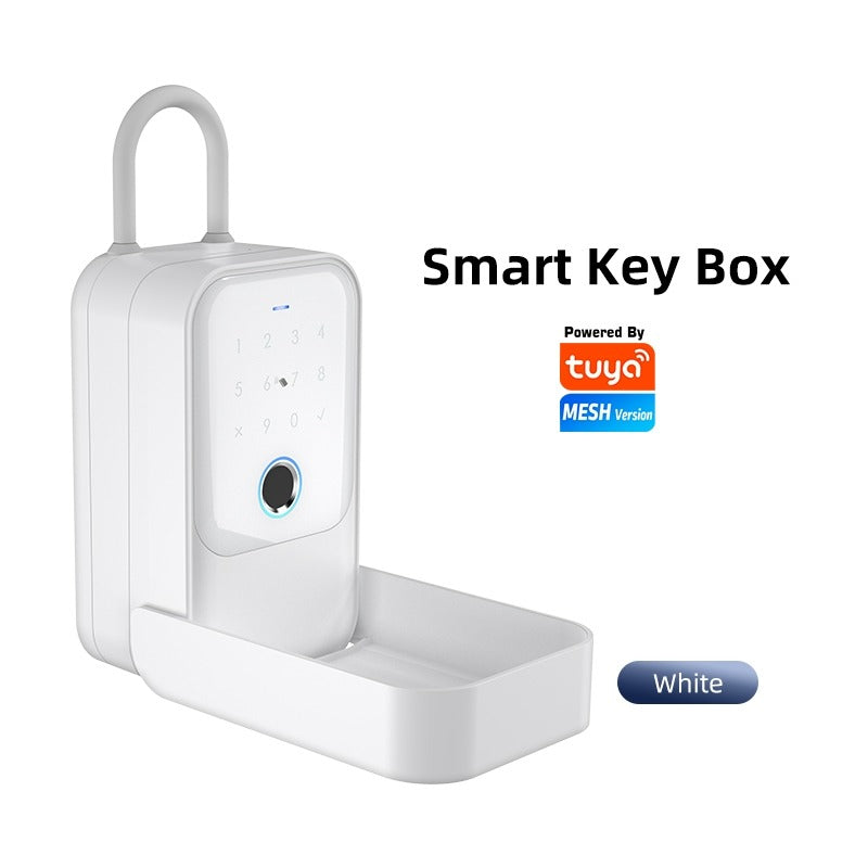 [APP Management] Tuya/TTLOCK Bluetooth Key Safe Box Outdoor Waterproof Wall Mounted Safety Box APP Remote Unlock Fingerprint Password Anti Theft Strongbox for Home