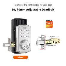 Tropernic A01 Tuya WiFi Smart Lock